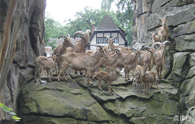 德国柏林动物园