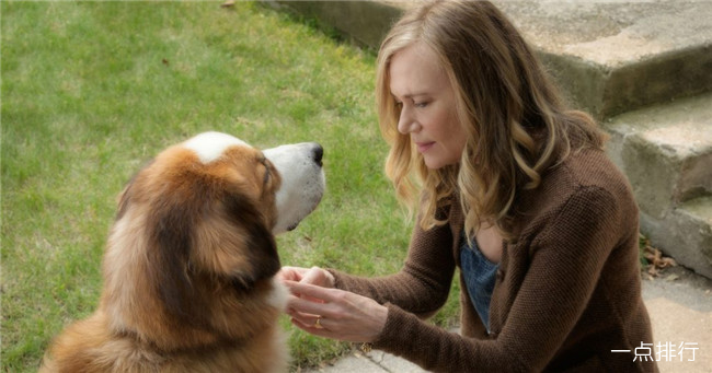 俄克拉荷马州禁止对狗做鬼脸